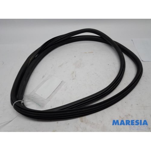 Citroen - C4 - Front door seal 4-door, right