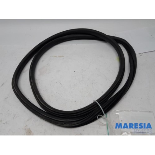 Citroen - C4 - Portierrubber 4Deurs links-achter