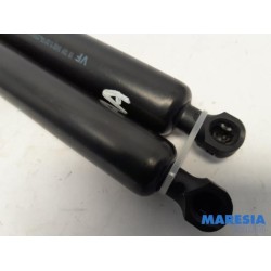 Peugeot - Expert - Set of tailgate gas struts