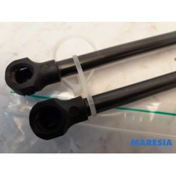 Peugeot - Expert - Set of tailgate gas struts