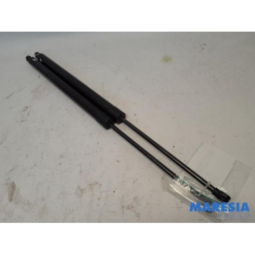 Peugeot - Expert - Set of tailgate gas struts