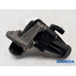 Renault - Kangoo - EGR Klep