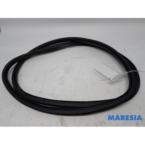 Citroen - C4 Grand Picasso - Rear door seal 4-door, left