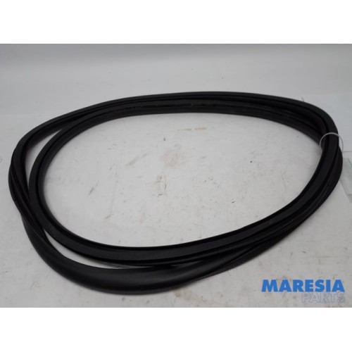 Citroen - C4 Grand Picasso - Rear door seal 4-door, right