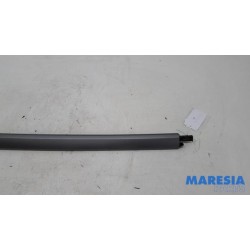 Citroen - C4 Grand Picasso - Dachleiste links