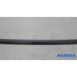 Citroen - C4 Grand Picasso - Dachleiste links