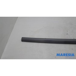Citroen - C4 Grand Picasso - Dachleiste links