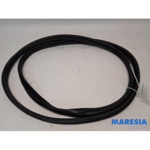 Peugeot - 3008 - Front door seal 4-door, right