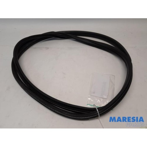 Peugeot - 3008 - Portierrubber 4Deurs links-achter