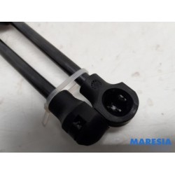 Renault - ZOE - Set of bonnet gas struts