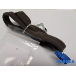 Renault - ZOE - GPS antenna