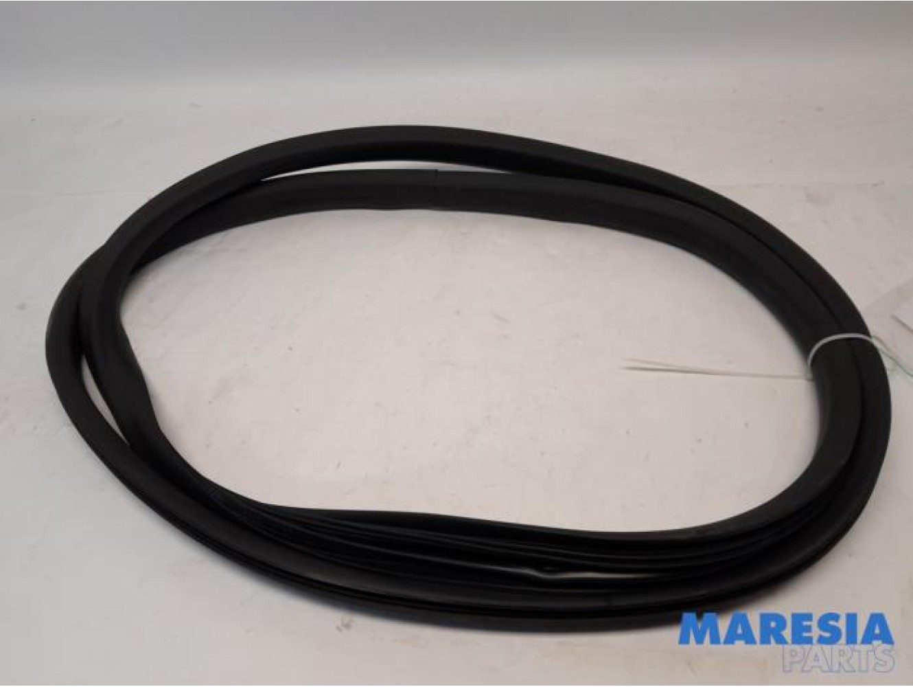 Renault - ZOE - Front door seal 4-door, right