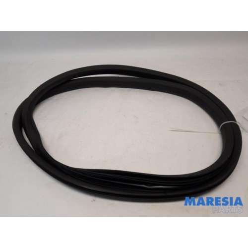 Renault - ZOE - Front door seal 4-door, right