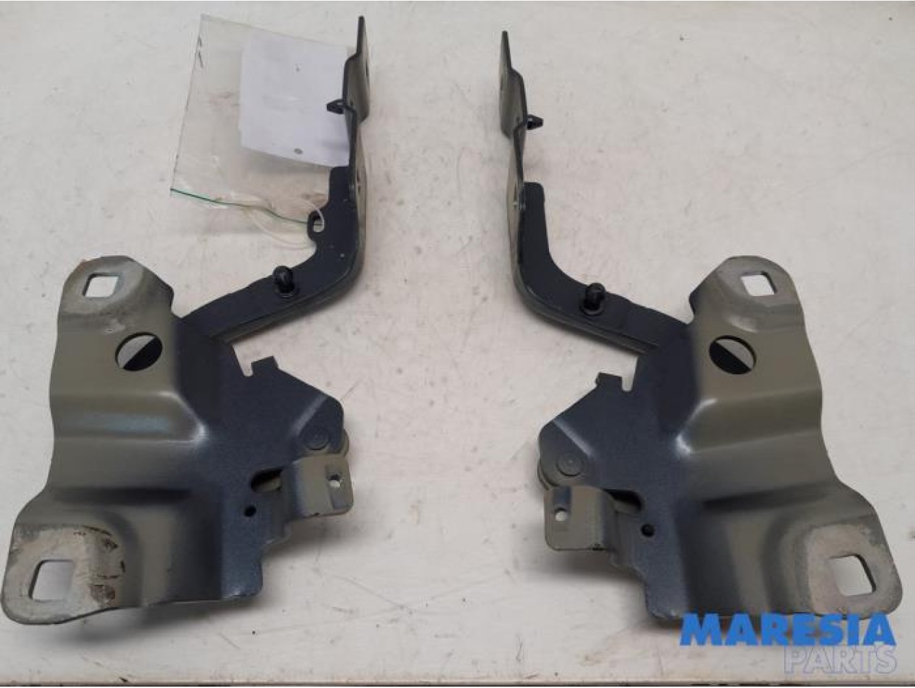 Renault - ZOE - Bonnet Hinge