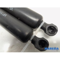 Toyota - Pro-Ace - Set Gasdempers Achterklep