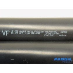 Toyota - Pro-Ace - Set Gasdempers Achterklep