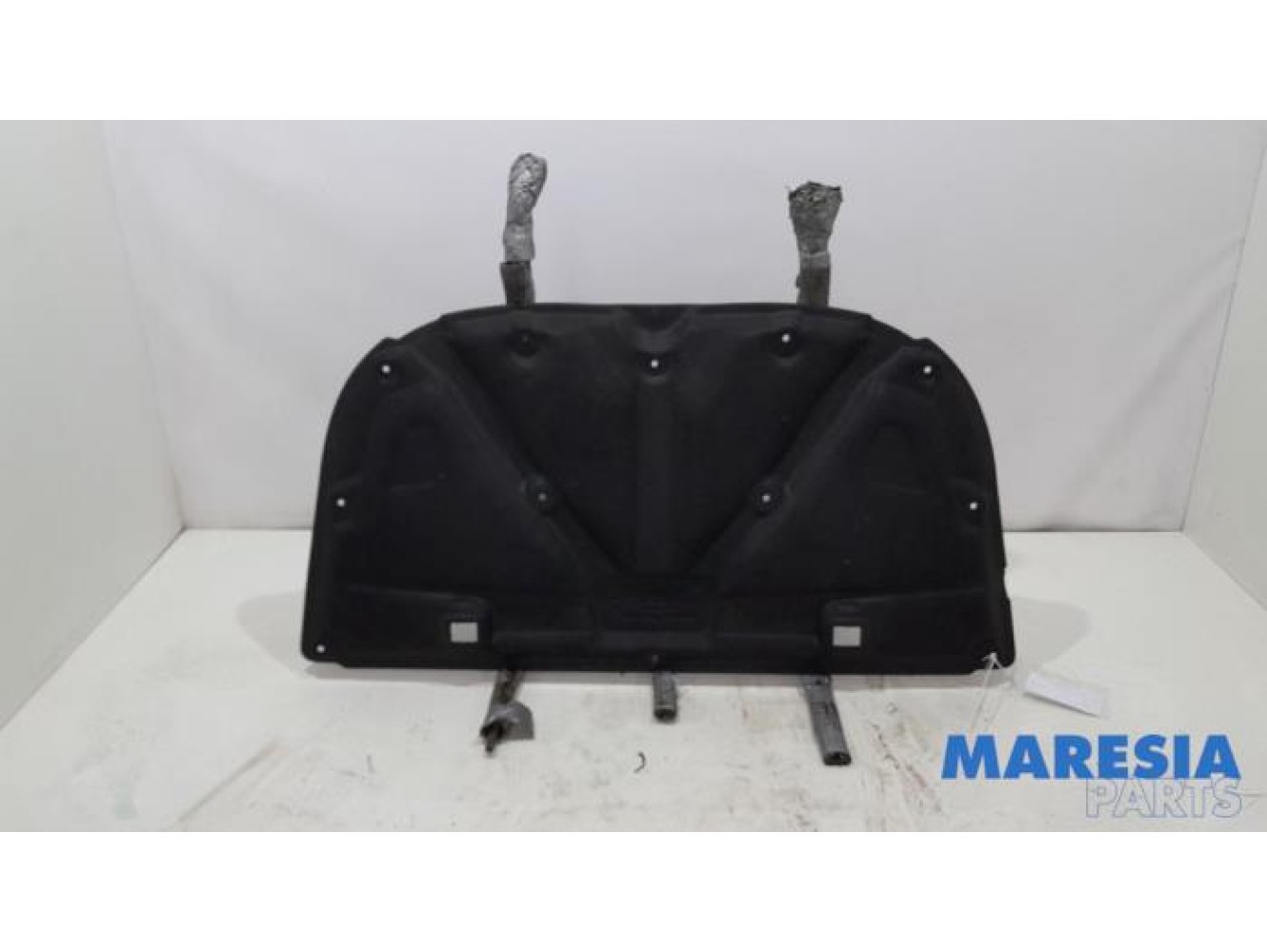 Renault - Arkana - Bonnet Lining