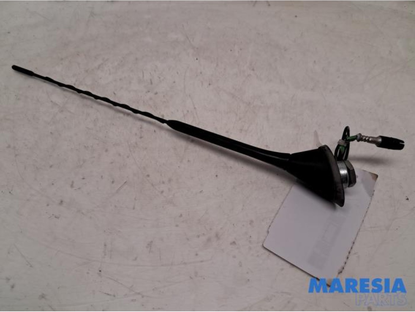 Fiat - 500 - Antenna