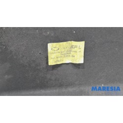 Renault - Arkana - Bash plate