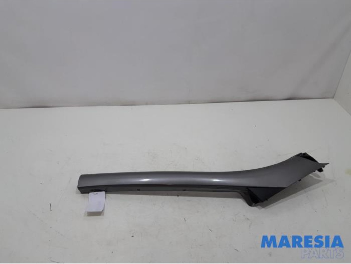 Renault - Scenic - Frontscreen frame