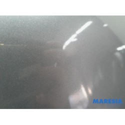 Renault - Scenic - Front wing, left