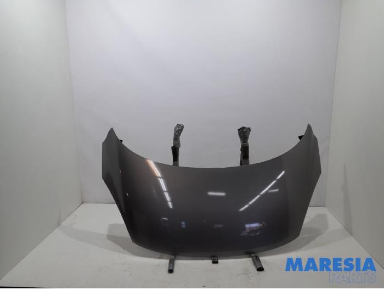 Renault - Scenic - Capot