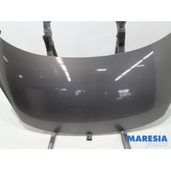Renault - Scenic - Capot