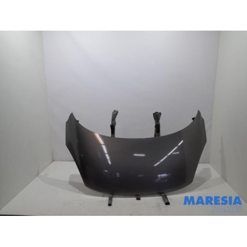 Renault - Scenic - Bonnet