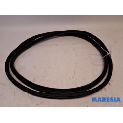 Renault - Arkana - Portierrubber 4Deurs rechts-voor