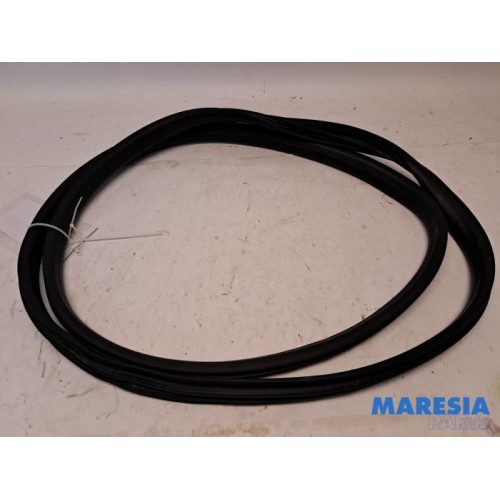Renault - Arkana - Front door seal 4-door, right