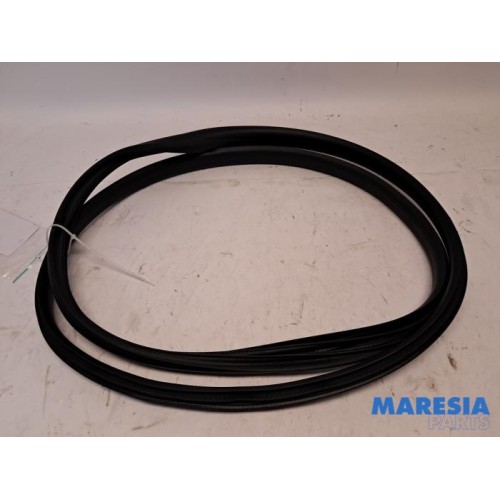 Renault - Arkana - Rear door seal 4-door, right