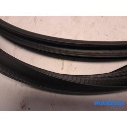 Renault - Arkana - Türgummi 4-türig links hinten