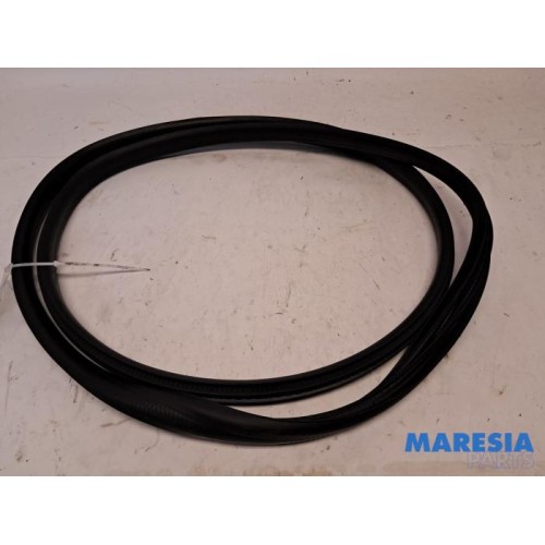 Renault - Arkana - Rear door seal 4-door, left