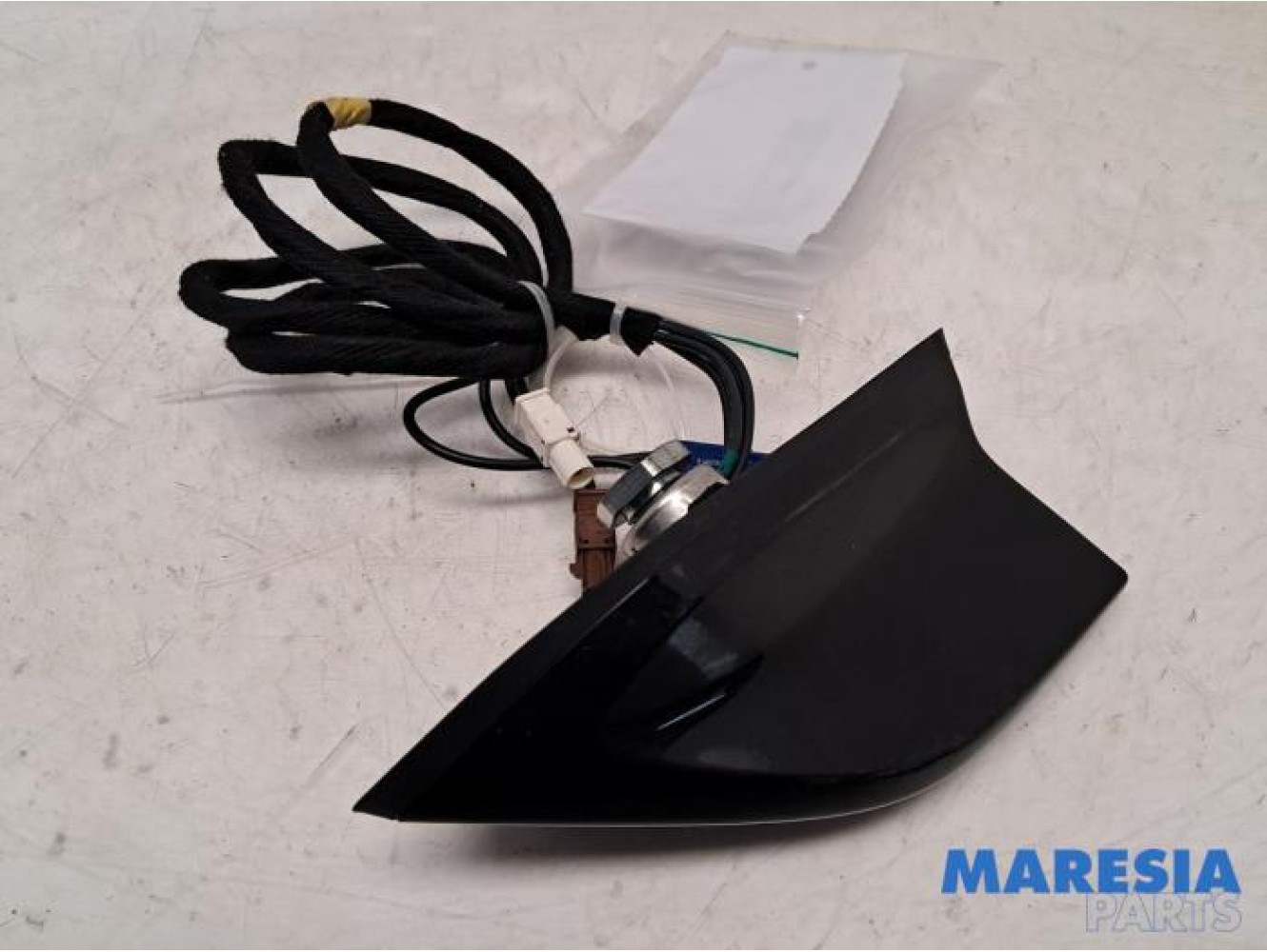 Renault - Arkana - Antenne