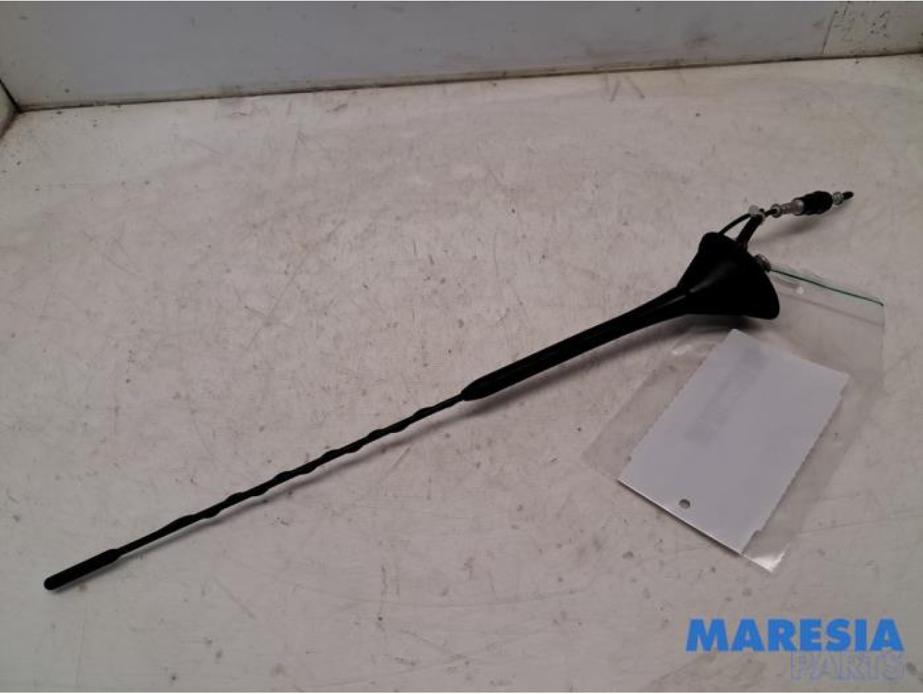 Fiat - 500 - Antenne