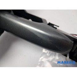 Renault - Arkana - Door handle 4-door, front left