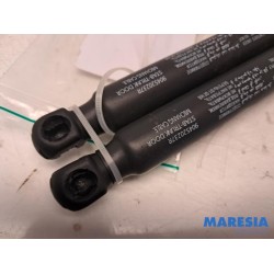 Renault - Arkana - Set of tailgate gas struts