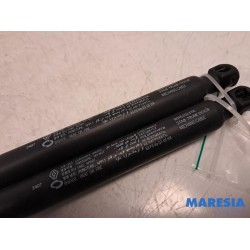 Renault - Arkana - Set of tailgate gas struts