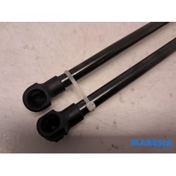 Renault - Arkana - Set of tailgate gas struts