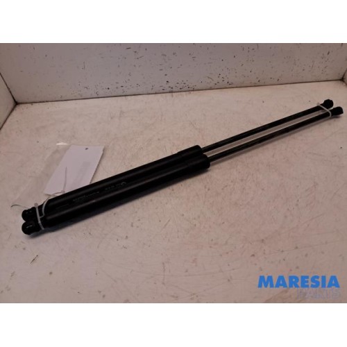 Renault - Arkana - Set of tailgate gas struts