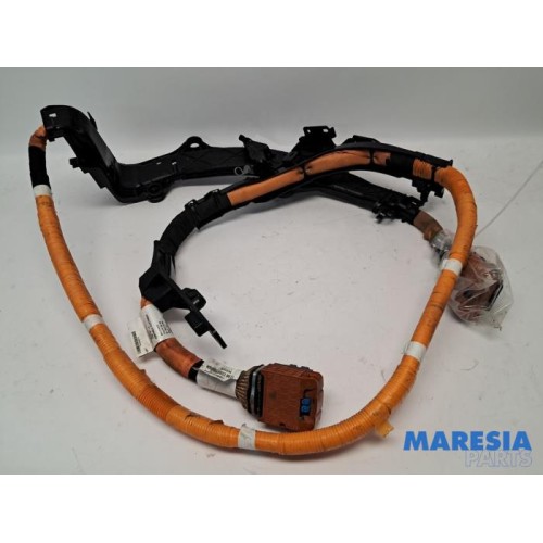Renault - Arkana - Wiring harness