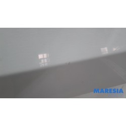 Opel - Vivaro - Portier 2Deurs links