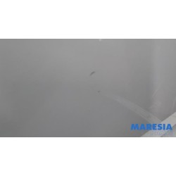 Opel - Vivaro - Portier 2Deurs links