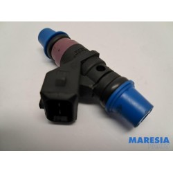 Renault - Megane Scenic - Injector (benzine injectie)