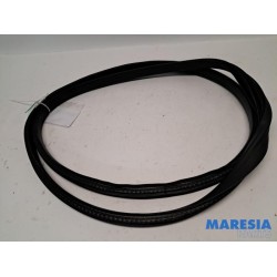 Renault - Clio - Front door seal 4-door, right