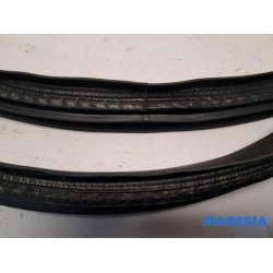 Renault - Clio - Front door seal 4-door, right
