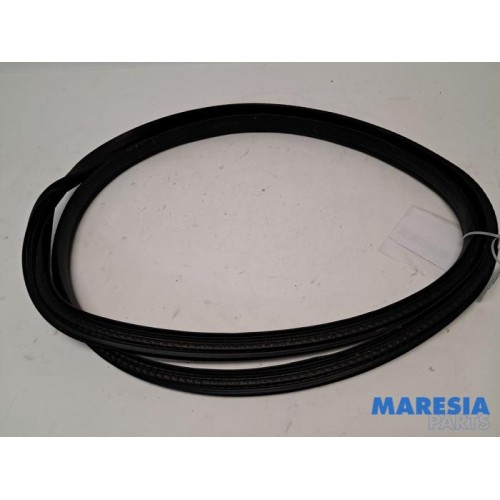 Renault - Clio - Front door seal 4-door, right