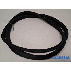 Renault - Clio - Portierrubber 4Deurs links-achter