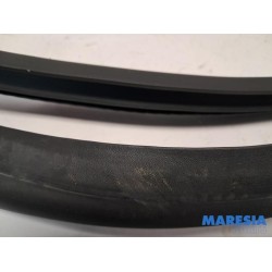 Renault - Clio - Portierrubber 4Deurs links-achter
