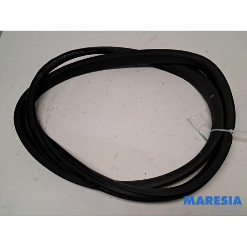 Renault - Clio - Rear door seal 4-door, left